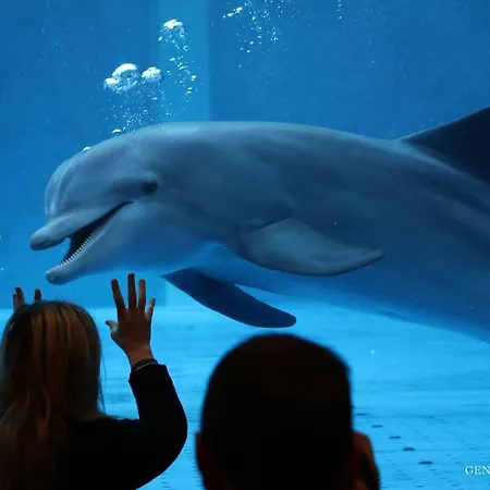 Appartamento Stanza D'artista