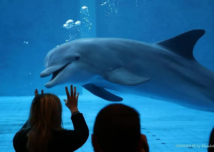 아파트 Stanza D'artista